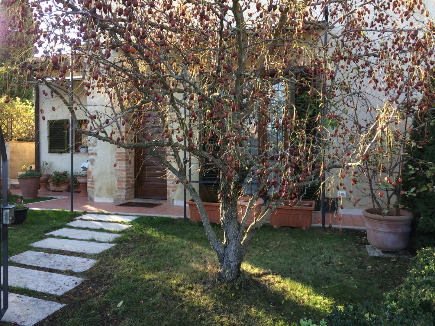 Rustico, Monteriggioni