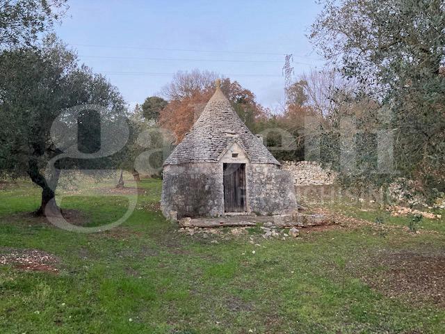 Trullo in Contrada Calongo 1, Cisternino — foto 4 di 5