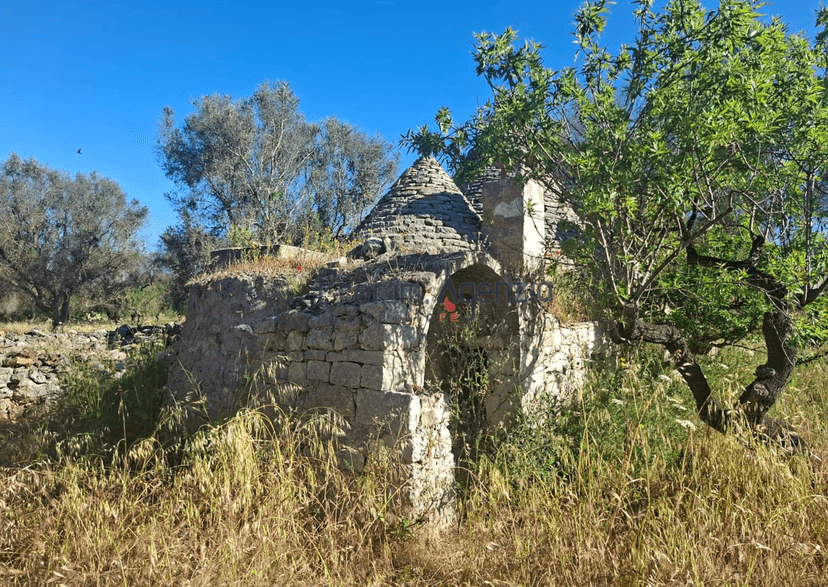 Trullo, San Michele Salentino — foto 4 di 5