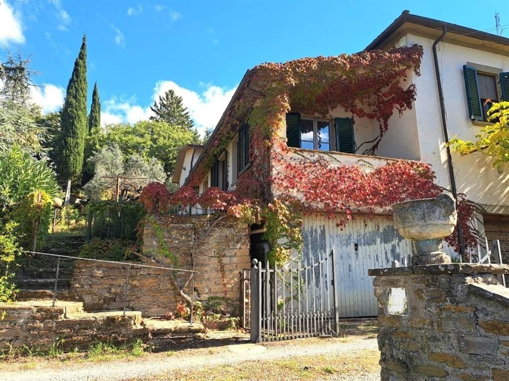 Rustico, Arezzo