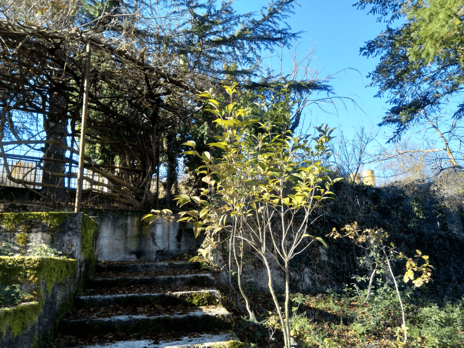 Casa indipendente in Contrada Martiri 1, Tito