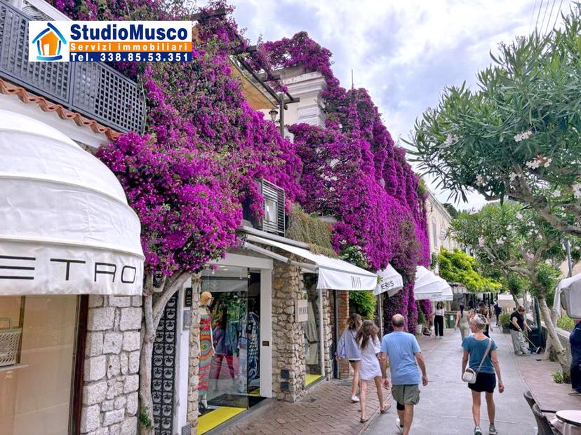Quadrilocale in Via Camerelle, Capri — foto 3 di 5