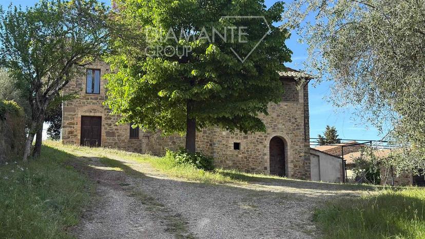 Casa colonica, Montalcino — foto 3 di 5