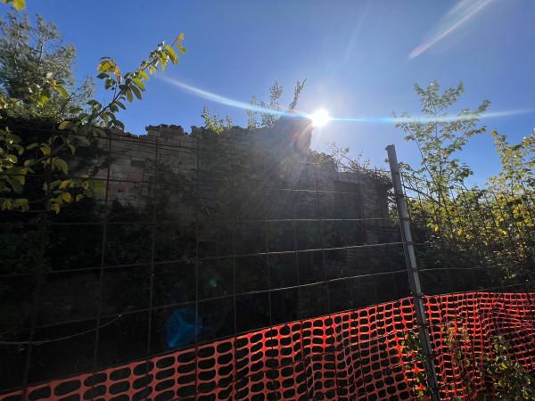 Rustico, Assisi