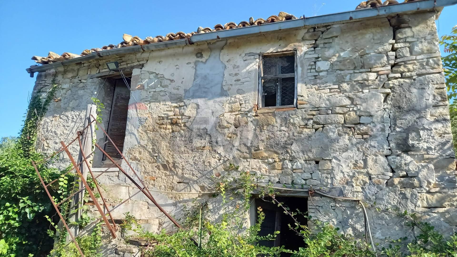 Rustico, Cingoli