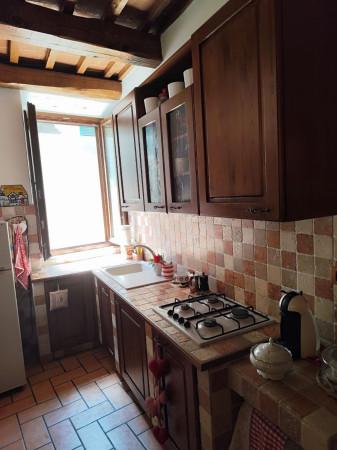 Trilocale in Via Zuccarelli 36, Pitigliano — foto 5 di 5