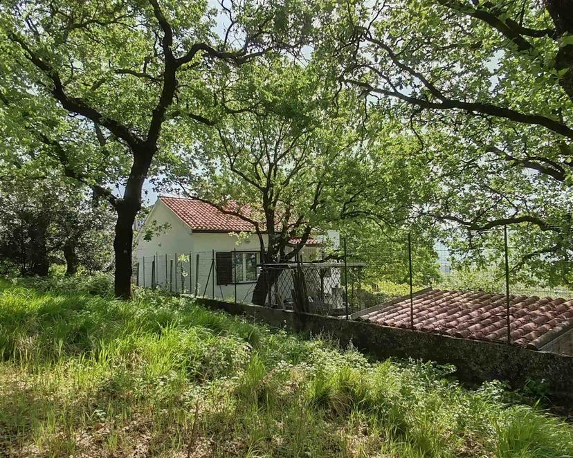 Casa indipendente in Via Ferruccio Suppan, Trieste — foto 3 di 5