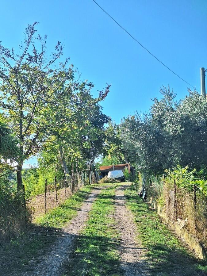 Casa indipendente, Penne