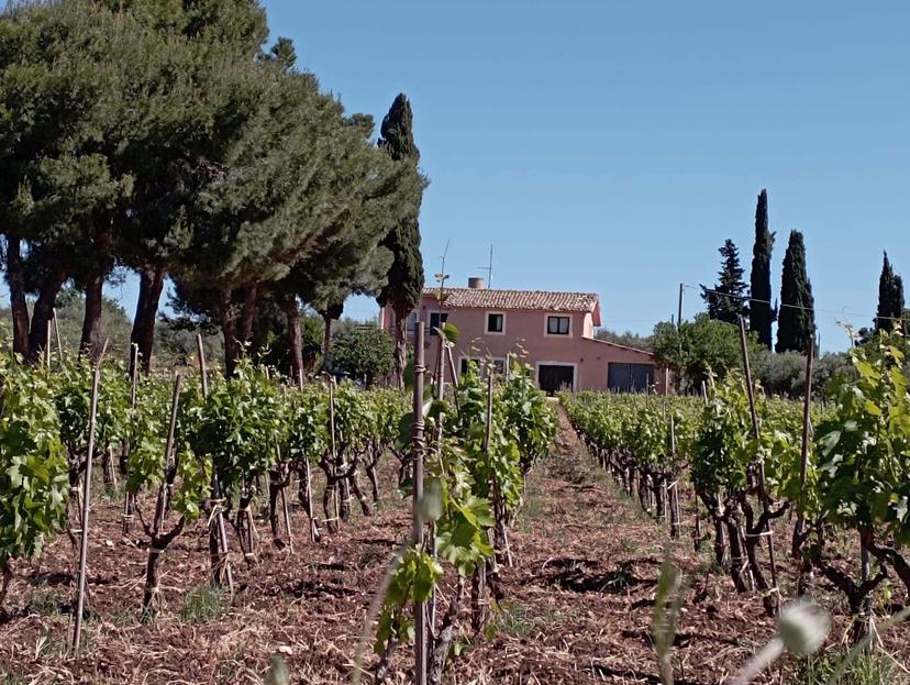 Villa, Chiaramonte Gulfi — foto 4 di 5