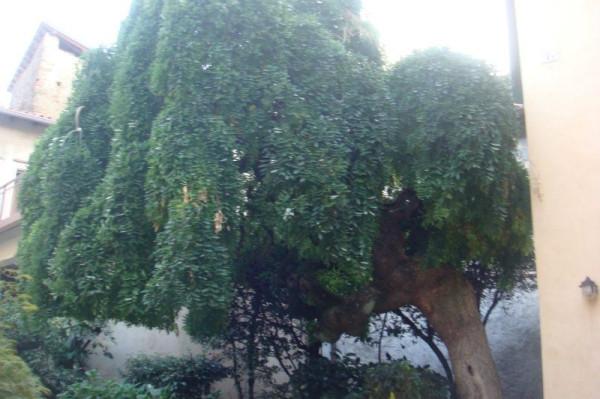 Bilocale in Piazza IV Novembre, Colle Brianza — foto 4 di 5
