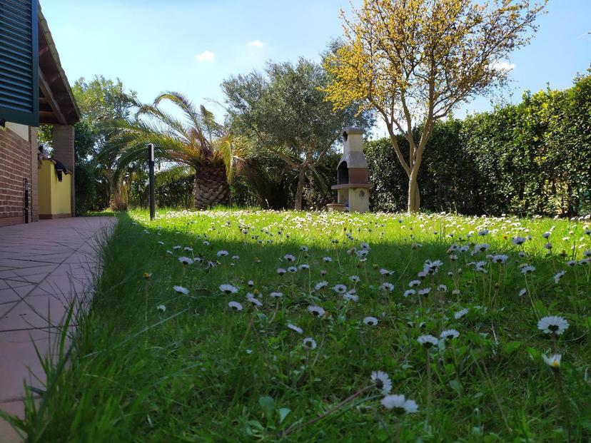 Casa indipendente in Via Aurelia Sud, Cecina — foto 2 di 5