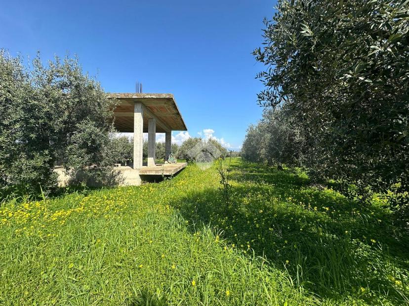 Rustico in C/da Bruscata Grande, Cassano all'Ionio — foto 5 di 5