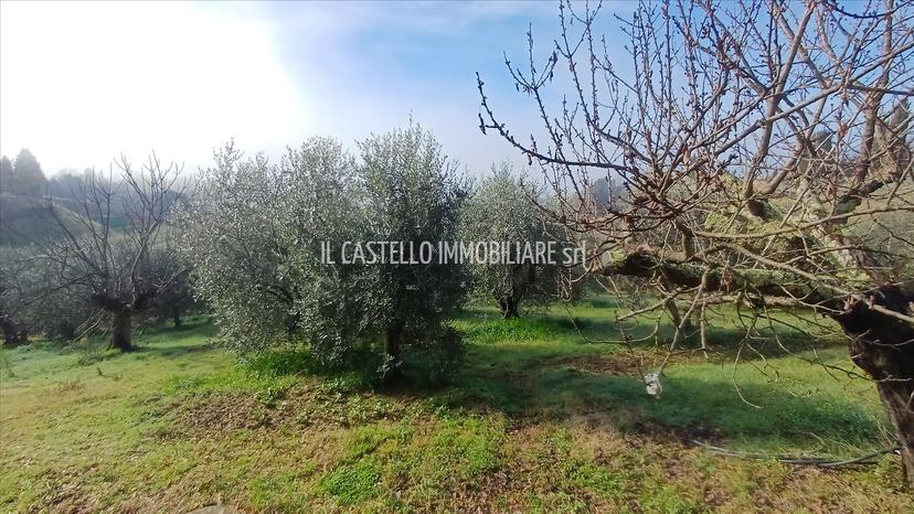 Casale in Via del Leccetello 31, Trequanda — foto 3 di 5