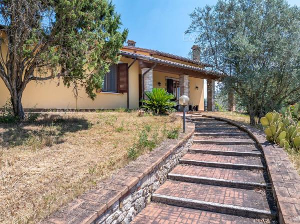 Casale in Vocabolo Palombaro di Ilci, Todi — foto 2 di 5