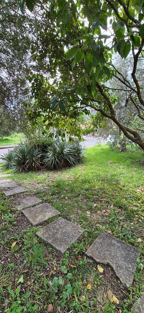 Villa a schiera, Calci — foto 5 di 5