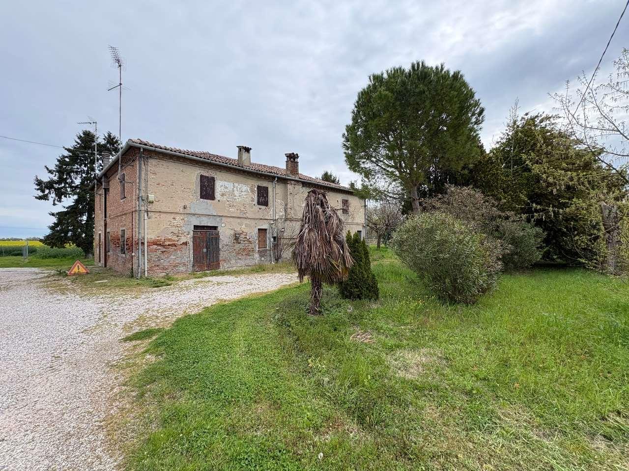 Rustico, Ferrara