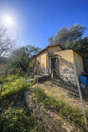 Rustico, Monte Argentario — foto 5 di 5