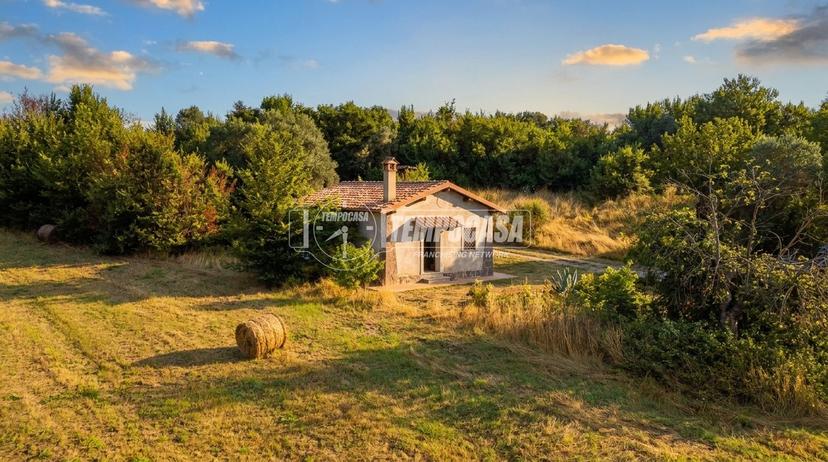 Villa in Via del Pavone, Campagnano di Roma — foto 5 di 5
