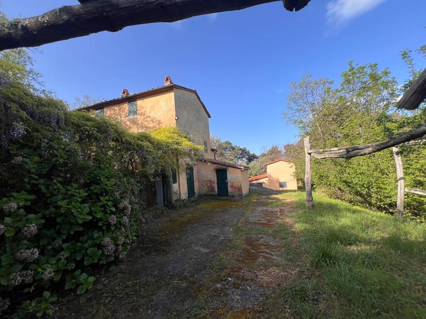 Rustico in Via Capriglia, Pietrasanta — foto 3 di 5
