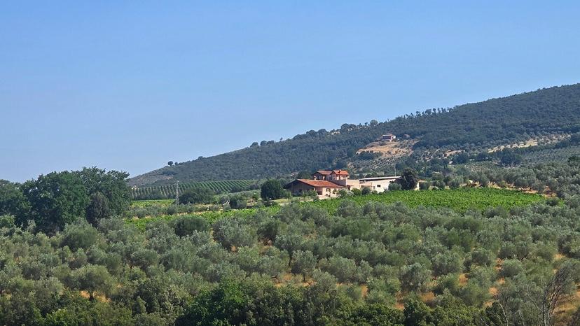 Rustico in Via Selvarella 2-6, Montecchio — foto 4 di 5
