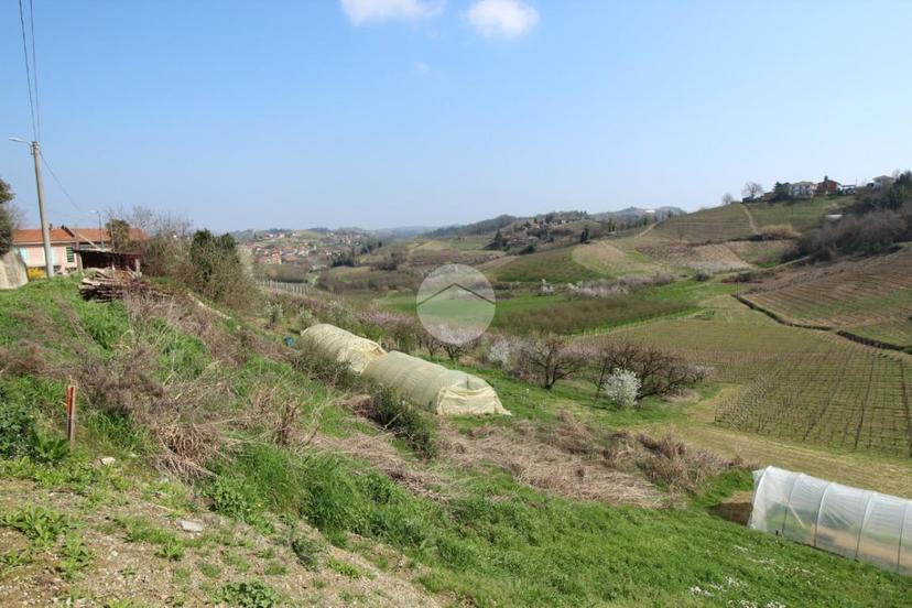 Casa indipendente in Località Bertelli 153, Montaldo Roero — foto 3 di 5