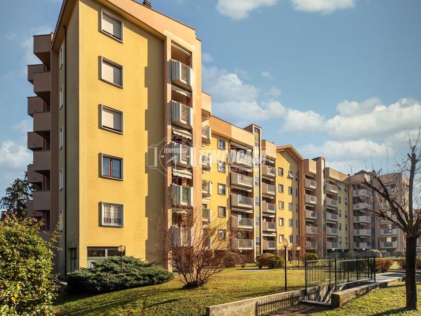 Trilocale in Via Robecchi 14, Muggiò — foto 2 di 5