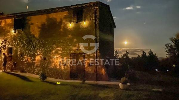 Casale, Todi
