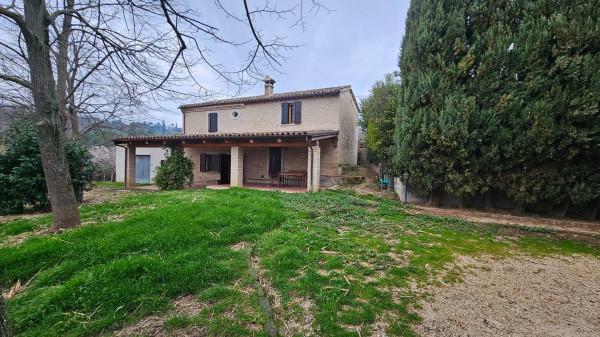 Casa colonica in Strada Nazionale Flaminia 124e, Fano — foto 3 di 5