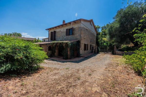 Rustico in Strada Provinciale Cinigianese, Cinigiano — foto 5 di 5