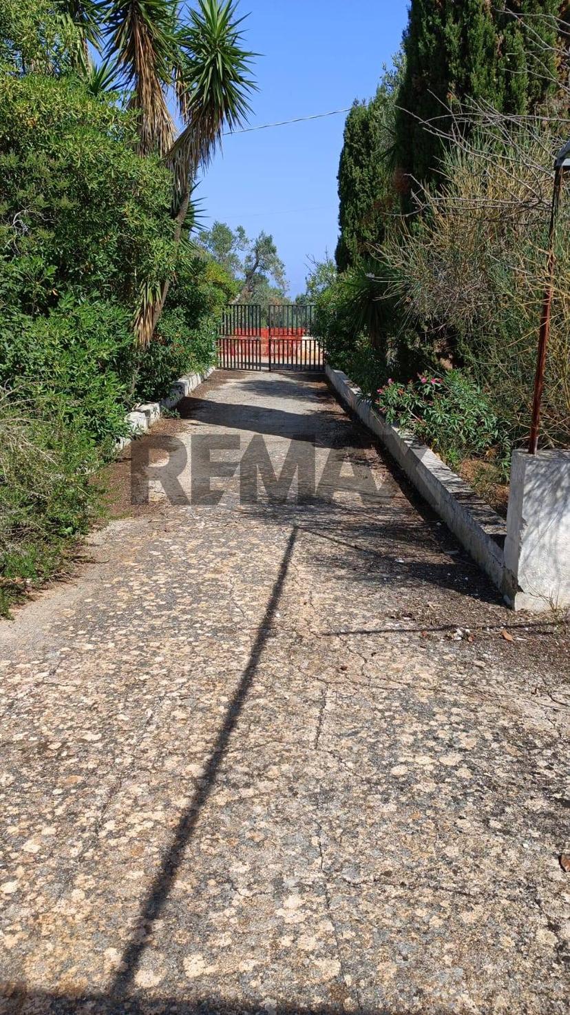 Rustico, Carovigno — foto 4 di 5