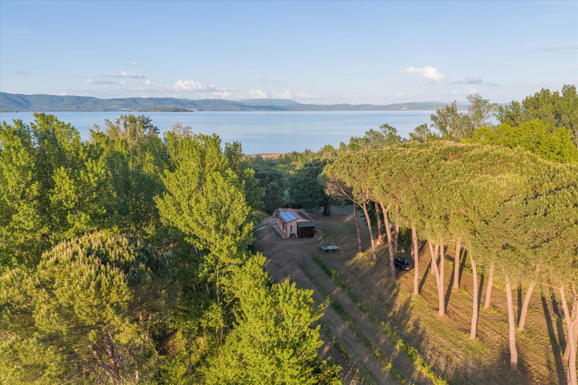 Casa indipendente, Castiglione del Lago