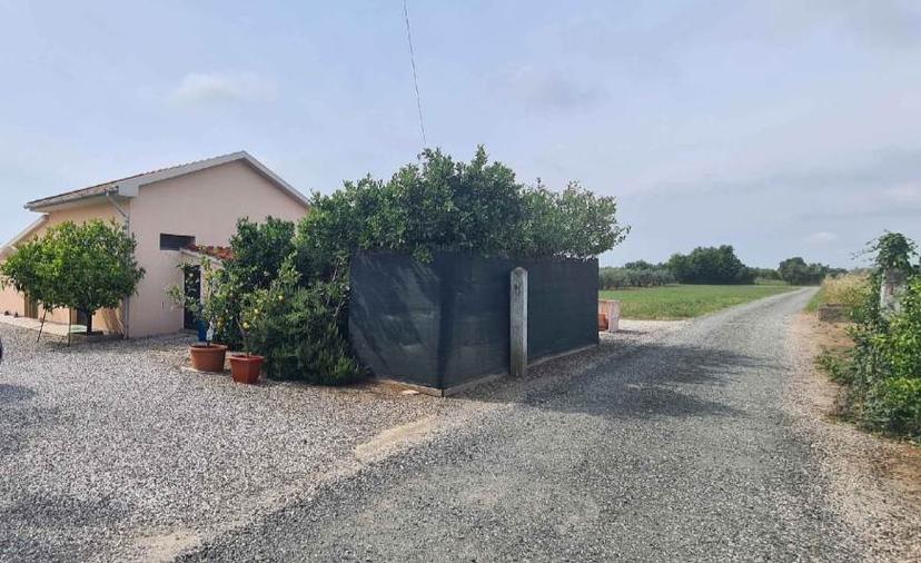 Rustico, Cecina — foto 2 di 5