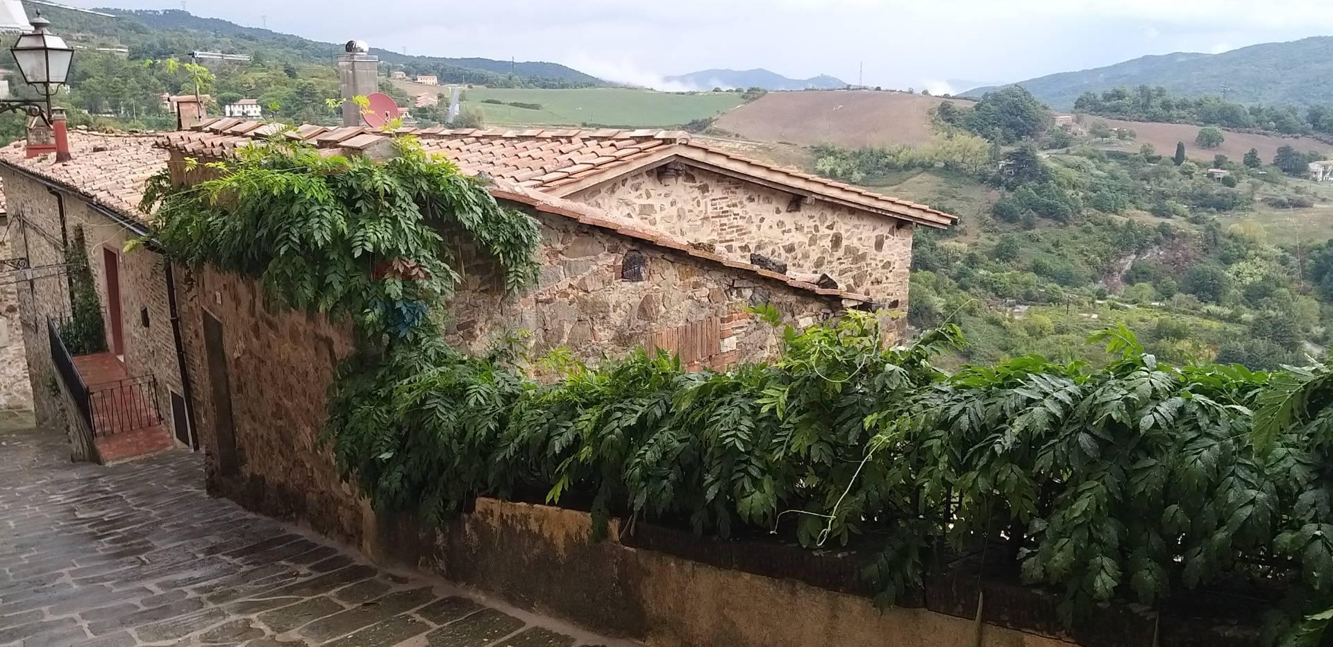 Casa indipendente, Castelnuovo di Val di Cecina