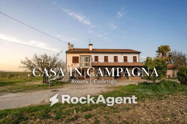 Casale in Via Bosco 29, Codevigo — foto 2 di 5