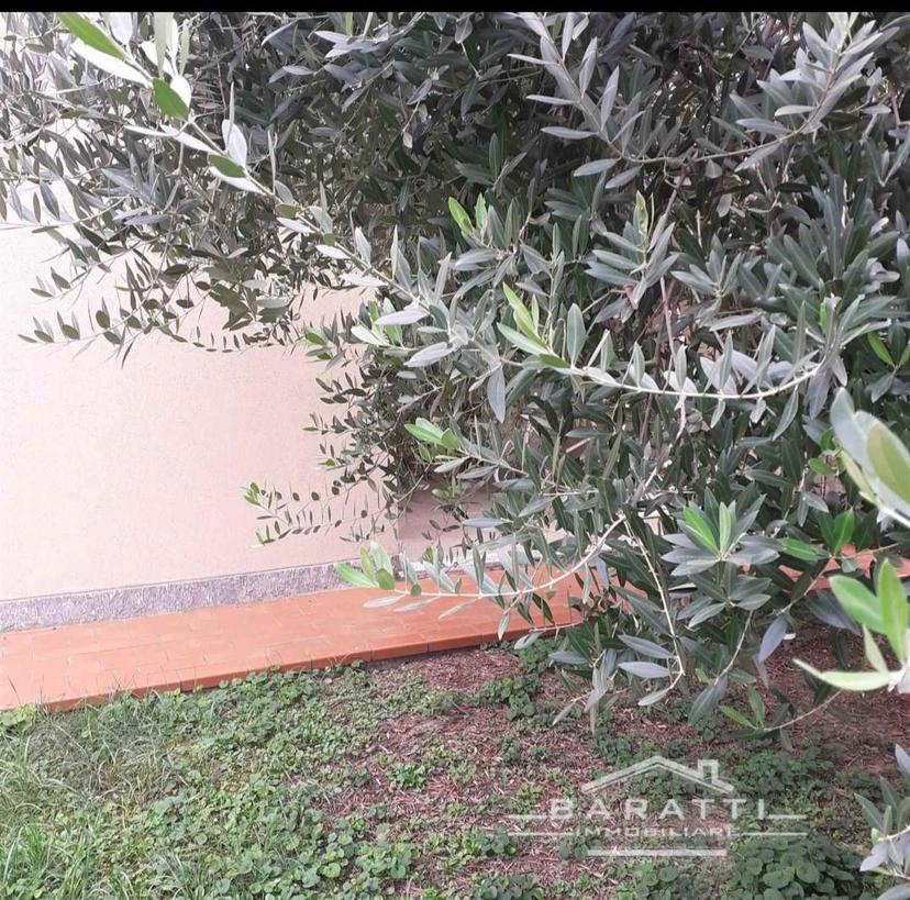 Villa a schiera, Quistello — foto 5 di 5