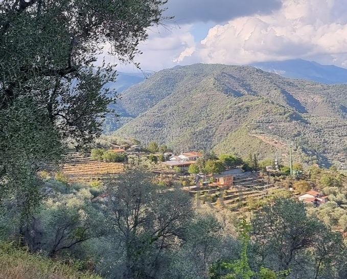 Villa a schiera in Strada Provinciale, Dolceacqua