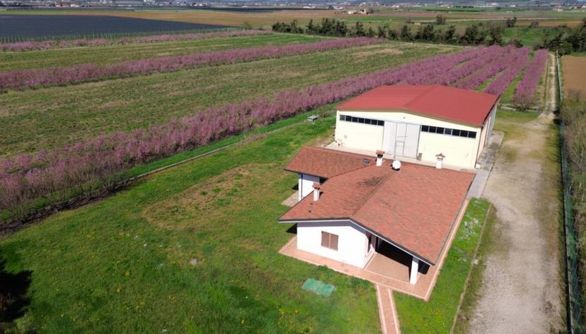 Villa, Villafranca di Verona — foto 5 di 5