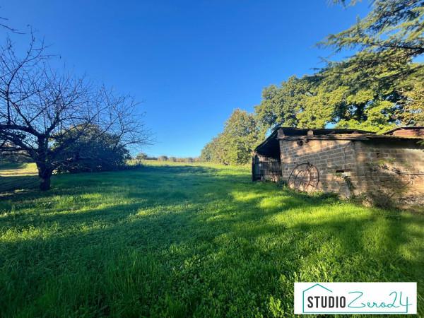 Trilocale in Località Le Raille, Vasanello — foto 5 di 5
