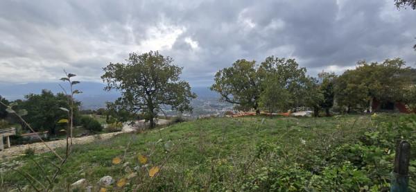 Villa in Via Giovanni XXIII, Palestrina — foto 2 di 5