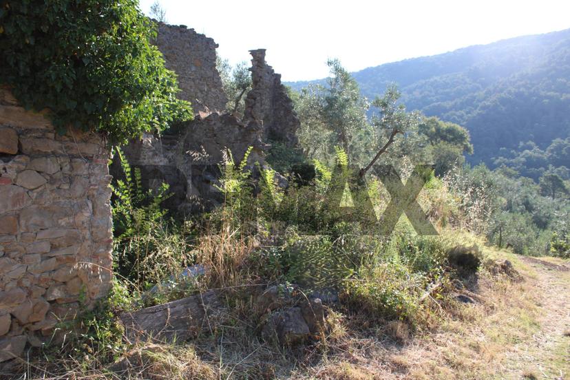 Rustico, Vinci — foto 4 di 5