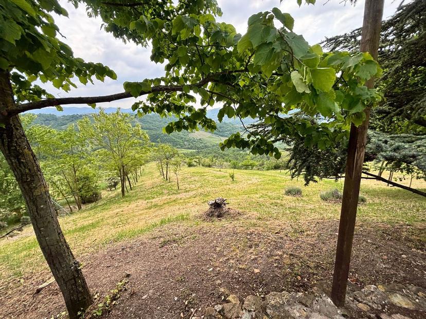 Casa indipendente in Tre Venti 3, Colli Verdi — foto 5 di 5