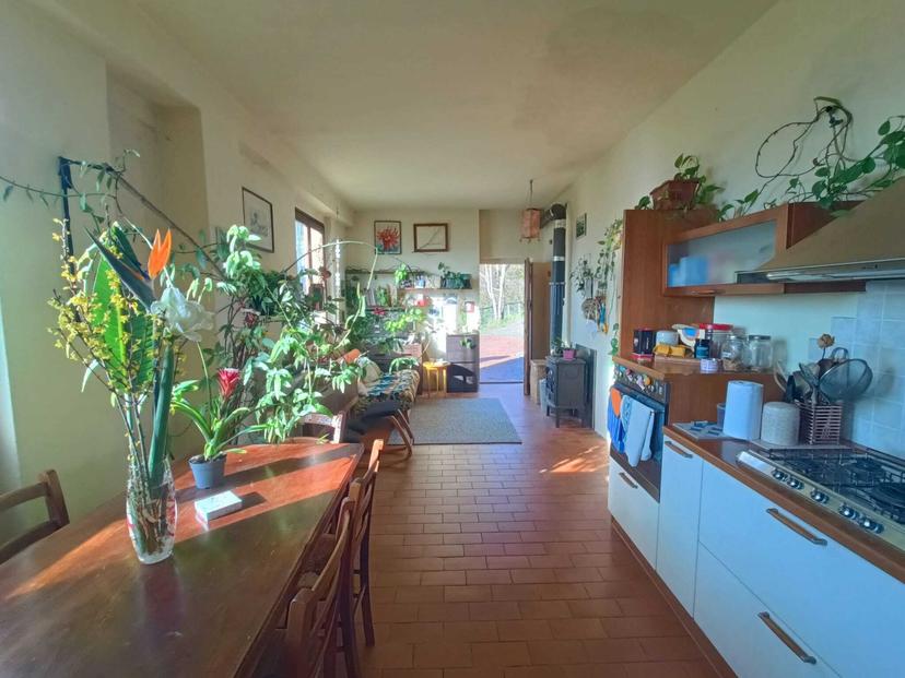 Rustico, Rufina — foto 2 di 5