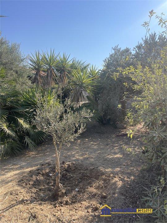 Villa in C.da Guardiani, Portopalo di Capo Passero — foto 3 di 5