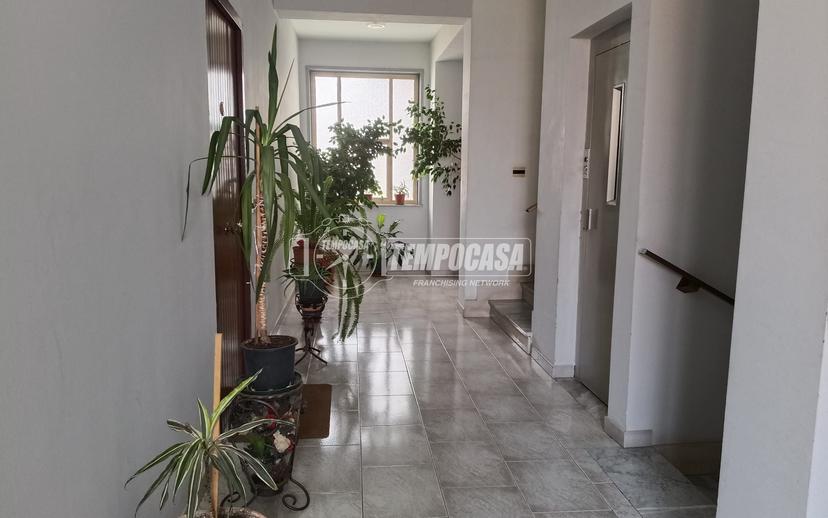 Appartamento in Via Vittoria Colonna 13, Villafranca Tirrena — foto 2 di 5