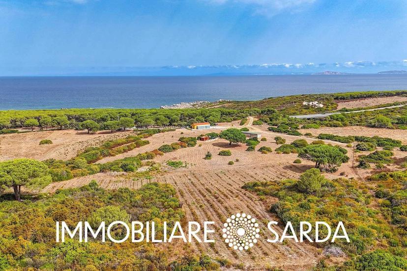 Villa, Aglientu — foto 3 di 5