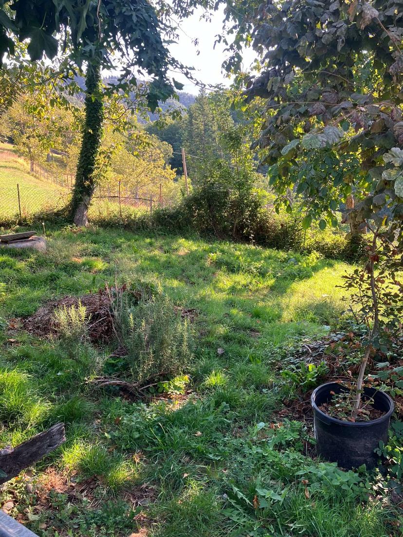 Rustico in Ca di Gallini, Castiglione di Garfagnana — foto 3 di 5