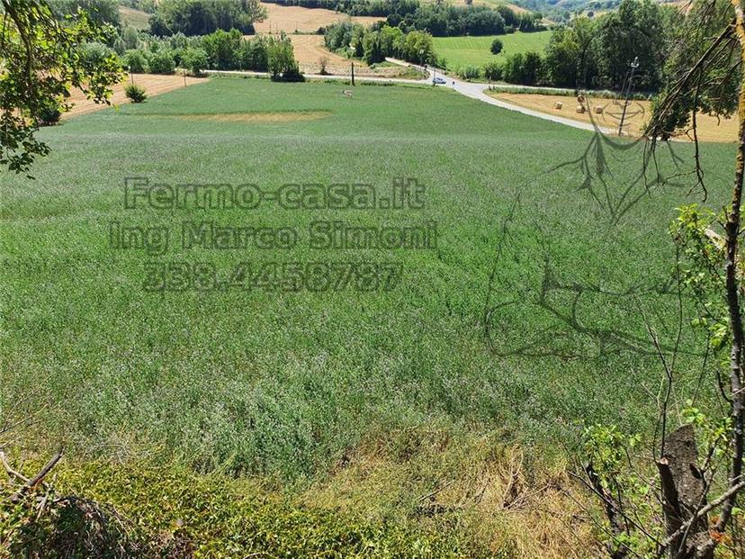 Rustico in Via Contrada Capparuccia 3, Ponzano di Fermo — foto 2 di 5