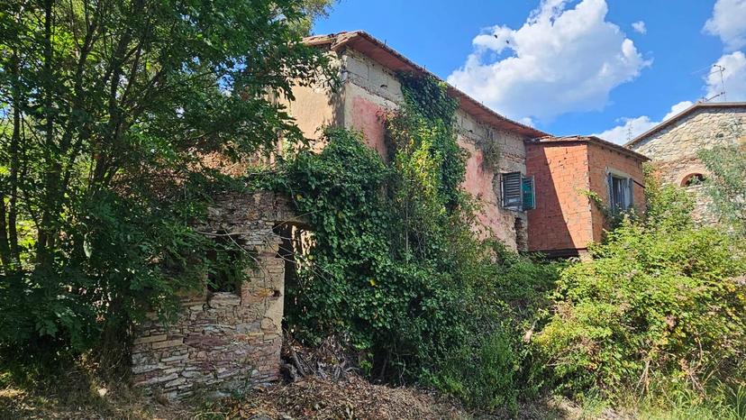 Casa indipendente in Campagna Sud, Sassetta — foto 4 di 5
