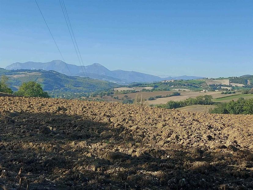 Appartamento in Via  Montalfoglio, San Lorenzo in Campo — foto 5 di 5