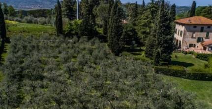 Villa, Terricciola — foto 5 di 5
